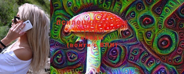 прущие грибы Великий Новгород
