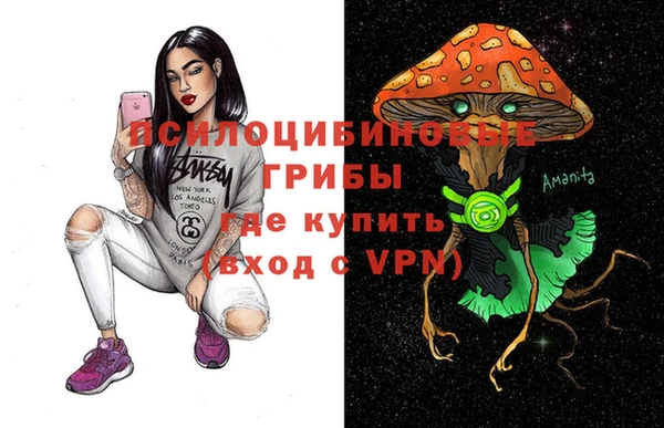 СК Новокубанск