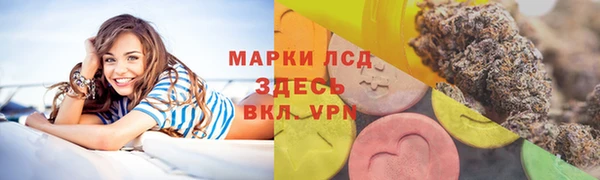 СК Новокубанск