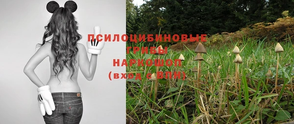 синтетический гашиш Новозыбков