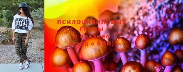 не бодяженный Новодвинск