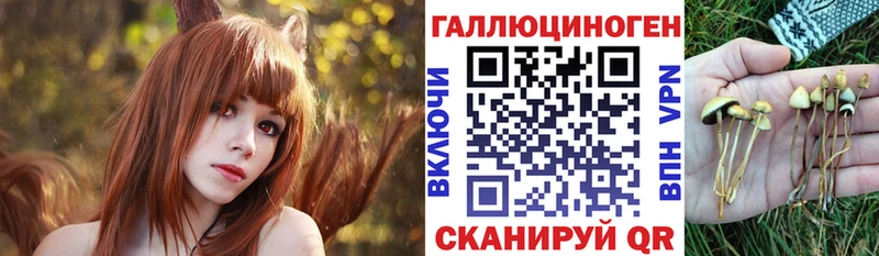 Галлюциногенные грибы GOLDEN TEACHER  сколько стоит  Соликамск 